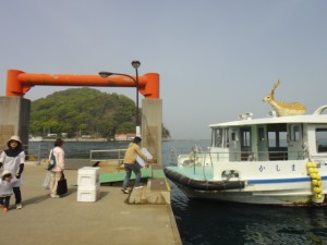 海のルアー釣り実践