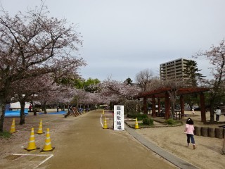 道後周辺エクスカーション