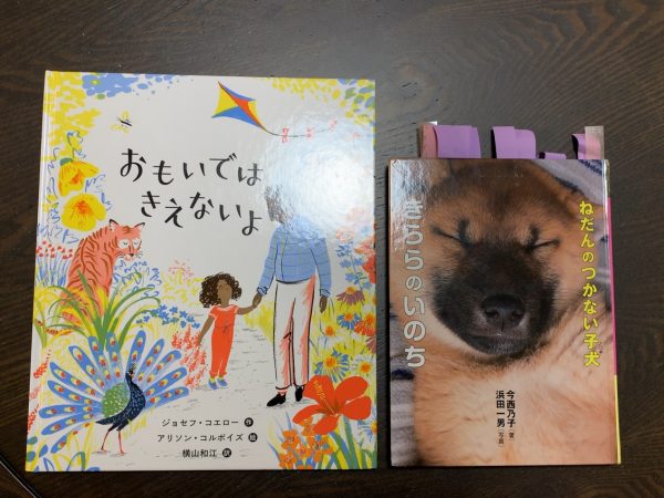 読書感想文